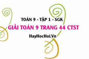 Giải Toán 9 trang 44 tập 1 Chân trời sáng tạo SGK